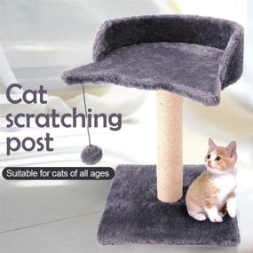 img 3 attached to 🐱 Kitty Delight: Natural Sisal Scratching Post with Plush Platform, Interactive Toy Balls - Great Gift for Cats and Kittens