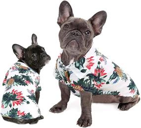 img 4 attached to 🌺 Dasior Pet Summer T-Shirt: Colorful Hawaiian Breeze - Custom Beachwear Apparel Shirts for Dogs