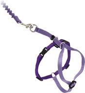 petsafe kitty harness bungee medium logo