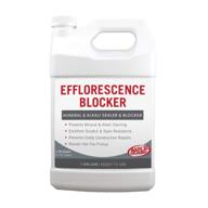rain guard efflorescence blocker gallon логотип