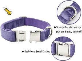 img 2 attached to 🐶 Soft Velvet Dog Collar - Bubblepup Collar, Adjustable & Comfortable for Small, Medium, and Large Dogs