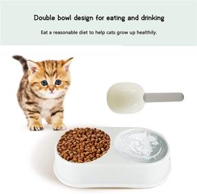 img 1 attached to 🐱 Complete Cat Kitten Starter Kit: SIVEIS 12-Piece Set - Cat Litter Tray, Scoop, Box, Scratch Pad, Double Bowls, Toys, and Food Spoon