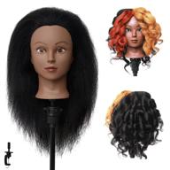 lnasi mannequin hairdresser training cosmetology logo