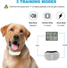 img 2 attached to PomisGam Training Rechargeable Waterproof Vibration