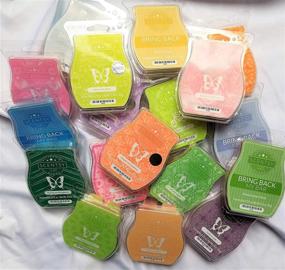 img 1 attached to Fragrance Delight: Scentsy 6 🌺 Pack Scent Bars for a Sensory Journey