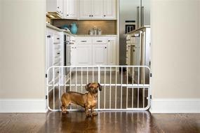 img 4 attached to 🚪 Carlson Lil Tuffy Metal Expandable Gate - White, 38 Inch x 1 Inch x 18 Inch
