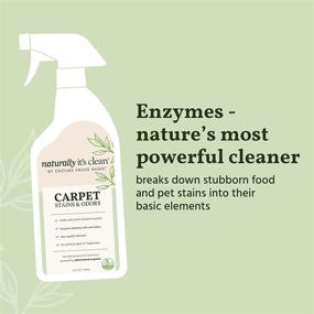 img 2 attached to Naturally Clean Carpet Stain & Odor Cleaner: Effective Plant-Based Enzymes for Safely Removing Pet/Food 🧼 Stains, Grease & Ink from Carpets, Rugs, Upholstery & Drapery - 24oz Spray Bottle, Pack of 2