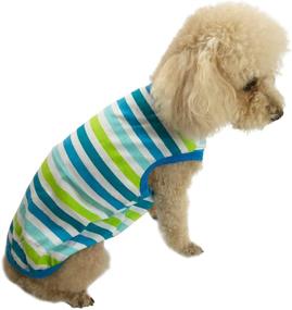 img 3 attached to 🐶 Honeycutey Pet Dog T-Shirt - Soft Cotton Vest for Puppies - Cute Apparel for Beach Wear - Rainbow Star Stripe Diagonals - Stretch Singlet