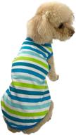 🐶 honeycutey pet dog t-shirt - soft cotton vest for puppies - cute apparel for beach wear - rainbow star stripe diagonals - stretch singlet логотип