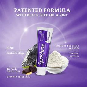 img 2 attached to SprinJene Health Boost 2-Pack: Fluoride Toothpaste for Dry Mouth, Vegan Formula 🦷 with Zinc and Black Seed Oil for Optimal Oral Hygiene and Sensitive Teeth