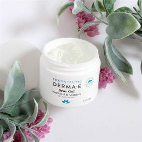 img 1 attached to 🌿 Derm-E Scar Gel: Advanced Panthenol & Allantoin Therapy for Effective Natural Scar Removal - Treats Acne Scars, Burns, Tattoos, Callouses, Stretchmarks - 2 Oz