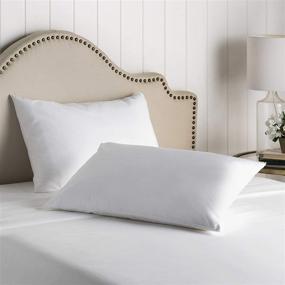 img 1 attached to 🛏️ Premium Bed Bugs Pillow Protector: Set of 2 King Size (21"x 36") Mattress Encasement Pillow Protectors