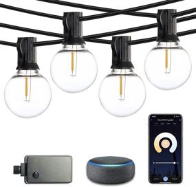 img 4 attached to 🔌 WiFi Smart String Lights: SUNTHIN 27FT Smart Patio Lights with Alexa & Google Assistant, 13 G40 LED Bulbs, Shatterproof, for Garden, Backyard, Porch, Deck, Cafe, Party