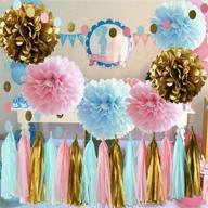 gender reveal party supplies: boy or girl baby shower decor, pink 🎉 blue gold tissue paper pom pom, circle garland, tassel garland, gender reveal party deco logo