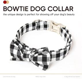 img 3 attached to Timos Dog Collars with Bowtie: Chic and Adjustable Accessories for Small, Medium, and Large Dogs