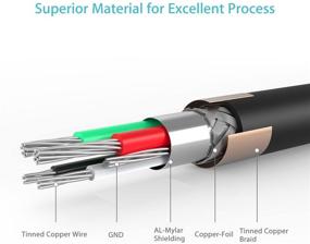 img 2 attached to Syncwire USB-кабель для принтера 6,5 фута - Кабель высокоскоростного принтера и сканера USB 2.0 для HP, Canon, Dell, Lexmark, Xerox, Samsung и других