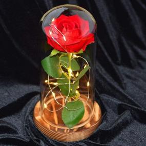 img 2 attached to Rose Night Light – Perfect Gift for Girlfriend – Birthday, Valentine's Day, Room Decor – Glass Rose that Never Fades