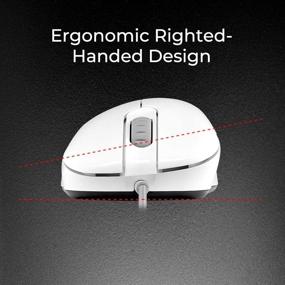 img 3 attached to 🖱️ BenQ Zowie EC1 Ergonomic Gaming Mouse: White Edition for Esports, Pro Grade Performance, Driverless, Glossy Coating, Large Size