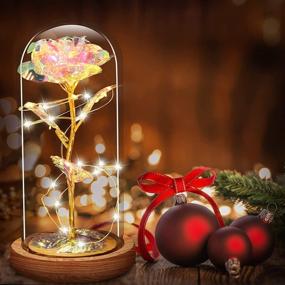 img 4 attached to 🎁 Christmas Rose Gift for Women, Birthday Gifts - Colorful Artificial Flower Rose Gift with LED Light String on Colorful Flower, Long-lasting in a Glass Dome - Unique Gift for Her, Thanksgiving Gift