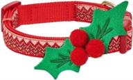 🎄 blueberry pet holiday christmas festival dog collars and collar covers: discover 10+ festive designs! logo