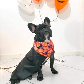 img 1 attached to 🐶 Stylish JPB Halloween Bandana: The Perfect Accessory for Dogs!