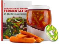 🥒 mortier pilon 2l glass fermentation kit: make sauerkraut, kimchi, pickles & more with 45 recipe book! logo