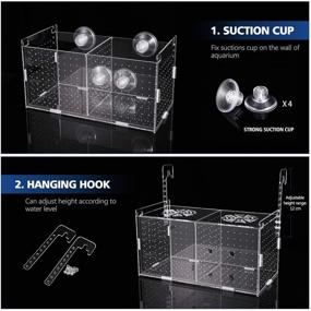 img 1 attached to 🐠 POPETPOP Fish Breeding Box - Acrylic Fish Isolation Tank and Aquarium Hatchery Incubator with Suction Cups for Baby Fishes, Shrimp, Guppy, Clownfish and Aggressive Fish