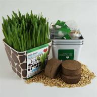 priscilla's pet products kitty grass triple kit with 3 harvests logo