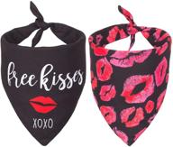 двусторонний треугольный шарф valentines bandana логотип