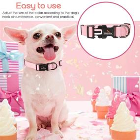 img 2 attached to RAINDEE Collar Safety Locked Adjusttable Dogs for Training & Behavior Aids