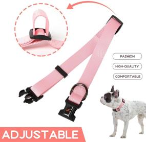 img 1 attached to RAINDEE Collar Safety Locked Adjusttable Dogs for Training & Behavior Aids