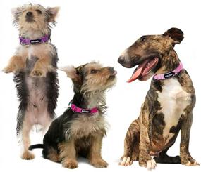 img 2 attached to 🐶 3-Pack Dog Collars by Azuza - Soft & Comfortable Collars for Dogs of All Sizes, Available in 4 Sizes and 2 Patterns