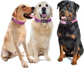 img 3 attached to 🐶 3-Pack Dog Collars by Azuza - Soft & Comfortable Collars for Dogs of All Sizes, Available in 4 Sizes and 2 Patterns