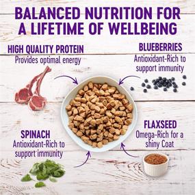 img 2 attached to 🐶 Wellness Complete Health Lamb & Barley Dry Dog Food with Grains - Natural, Healthy Recipe for Adult Dogs, Made in USA, With Added Vitamins and Minerals, No Meat by-Products, Fillers, or Artificial Preservatives