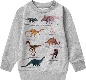 img 4 attached to Trendy Crewneck Pullover Sweatshirts for Toddler Boys in Fashionable Hoodies & Sweatshirts