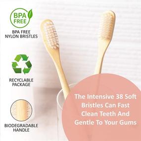 img 1 attached to 🌱 Eco-Friendly Bamboo Toothbrushes (Pack of 4) – Biodegradable, BPA Free, Soft Natural Bristles for Gingivitis and Sensitive Teeth – Recyclable Toothbrush for Men and Women by Laboos