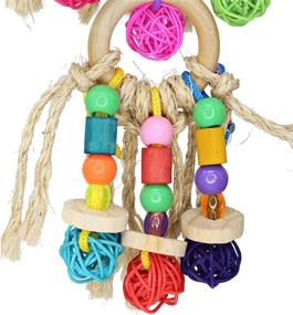img 1 attached to Bonka Bird Toys Parrot African Birds