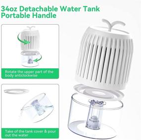 img 1 attached to 🌧️ Levoair Home Dehumidifier - 34oz(1000ml) Small Dehumidifiers for Basements, Bedrooms, Bathrooms, Closets, RVs - 2200 Cubic Feet Capacity - Auto-Off, Portable, Electric Mini Quiet Dehumidifier for Spaces Up to 200 sq.ft