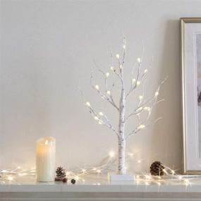 img 1 attached to EAMBRITE Frosted Ball Twig Tree with Timer - Lighted White Birch Tree 24IN 24LT for Home Wedding Holiday Birthday Party Decoration Indoor Use