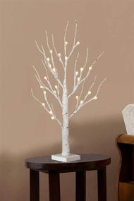 img 2 attached to EAMBRITE Frosted Ball Twig Tree with Timer - Lighted White Birch Tree 24IN 24LT for Home Wedding Holiday Birthday Party Decoration Indoor Use