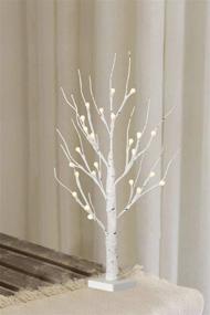 img 3 attached to EAMBRITE Frosted Ball Twig Tree with Timer - Lighted White Birch Tree 24IN 24LT for Home Wedding Holiday Birthday Party Decoration Indoor Use