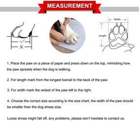 img 3 attached to Сапожки для собак QUMY: защитные ботинки для маленьких собак - зимние сапожки с отражающей полосой - противоскользящая резиновая подошва - 4 шт.
