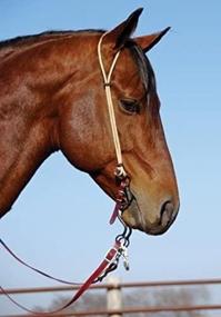 img 1 attached to 🐎 Nrs-Berlin Custom Leather Rope Series Headstall: Premium Quality Equestrian Gear