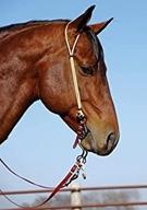 🐎 nrs-berlin custom leather rope series headstall: premium quality equestrian gear logo