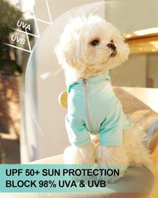 img 3 attached to 🐶 Sun Shield Dog Tee with Hoodie - UV Protection Sun Shirt for Small to Medium Dogs - Pet Anxiety Relief & Summer Sun Protection Vest - Prevents Foxtails & Alopecia - Lightweight, Machine Washable