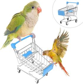 img 3 attached to 🦜 UEETEK Parakeet Budgie Toys: Mini Shopping Cart for Intelligent Training and Playtime for Pet Birds