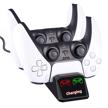 controller playstation dualsense indicators protection logo