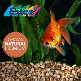 img 1 attached to Spectrastone Shallow Freshwater Aquariums 5 Pound