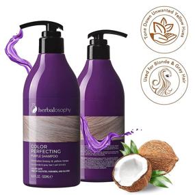 img 1 attached to 💜 16.9 Fl Oz Purple Toning Shampoo & Conditioner Set - For Blonde and Gray Hair, Removes Brassy & Yellow Tones, Infused with Nourishing Cocos Nucifera Oil, Sulfate-Free, Paraben-Free, Gluten-Free - Ideal for Men & Women