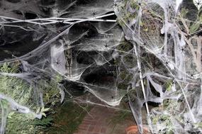 img 2 attached to 🕸️ Spooky Spider Web Decorations for Halloween Party - Moon Boat Fake Cobweb Prop Kit with 1000 sqft Coverage and 120 Spiders